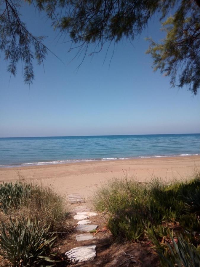 זכארו Hotel Διεθνές מראה חיצוני תמונה