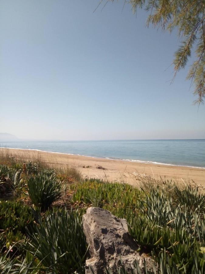 זכארו Hotel Διεθνές מראה חיצוני תמונה